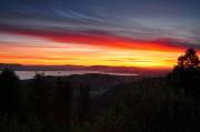 ID: 7952 (10109)