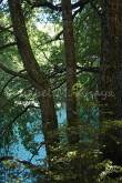 ID: 1034 (10109)