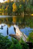 ID: 8326 (10109)