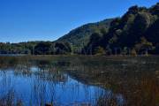 ID: 8602 (10109)