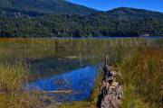 ID: 8604 (10109)
