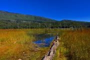 ID: 8605 (10109)