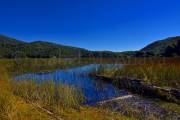 ID: 8606 (10109)