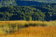 ID: 8611 (10109)