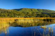 ID: 9081 (10109)