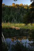 ID: 1042 (10109)