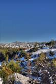 ID: 1292 (10113)