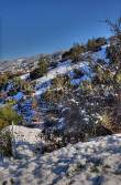 ID: 1293 (10113)