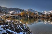 ID: 1295 (10113)