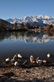 ID: 1297 (10113)