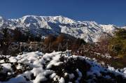 ID: 1298 (10113)