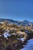 ID: 1299 (10113)