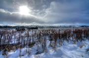 ID: 9027 (10112)