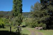 ID: 1043 (10109)