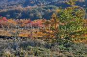 ID: 6475 (10112)