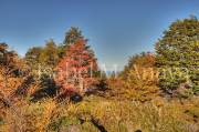 ID: 6478 (10112)