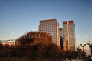ID: 1307 (10113)