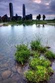 ID: 8371 (10113)