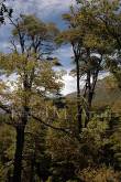 ID: 934 (10107)