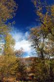 ID: 5350 (10107)