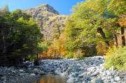 ID: 5351 (10107)