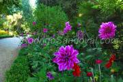 ID: 4176 (10108)