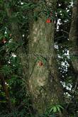 ID: 1695 (10110)
