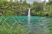 ID: 2646 (10110)