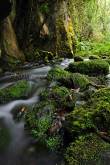 ID: 2650 (10110)