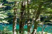 ID: 6722 (10109)