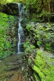 ID: 3595 (10114)