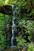 ID: 3596 (10114)