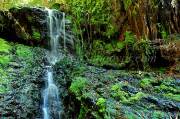 ID: 3597 (10114)