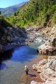 ID: 8182 (40100)