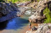 ID: 8185 (40100)