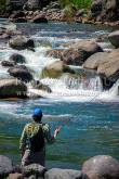 ID: 8193 (40100)