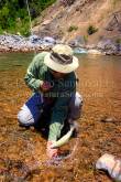 ID: 8197 (40100)