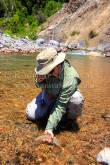 ID: 8198 (40100)
