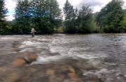 ID: 7485 (40100)