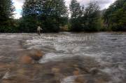 ID: 7486 (40100)