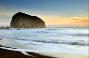ID: 9085 (10107)