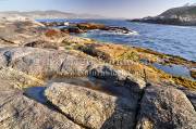 ID: 4345 (10105)