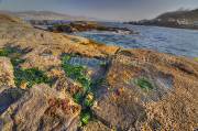 ID: 4346 (10105)