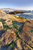 ID: 4348 (10105)