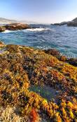 ID: 4349 (10105)