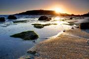 ID: 4353 (10105)