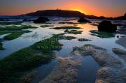 ID: 4355 (10105)