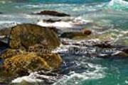 ID: 4362 (10105)