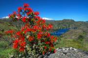 ID: 4055 (10111)