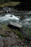 ID: 1045 (10109)